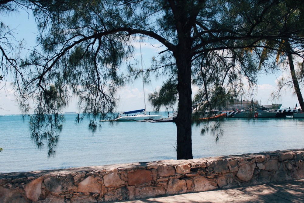 Processed with VSCO with e3 preset