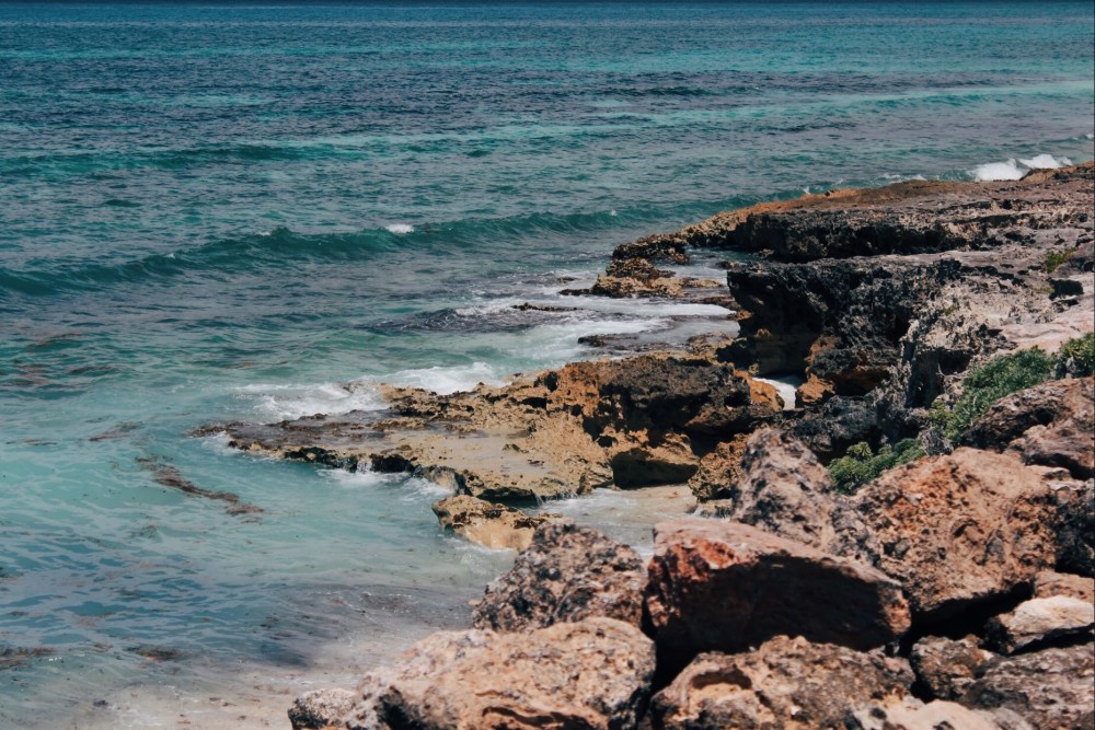 Processed with VSCO with e3 preset