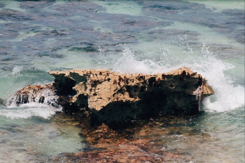 Processed with VSCO with e3 preset