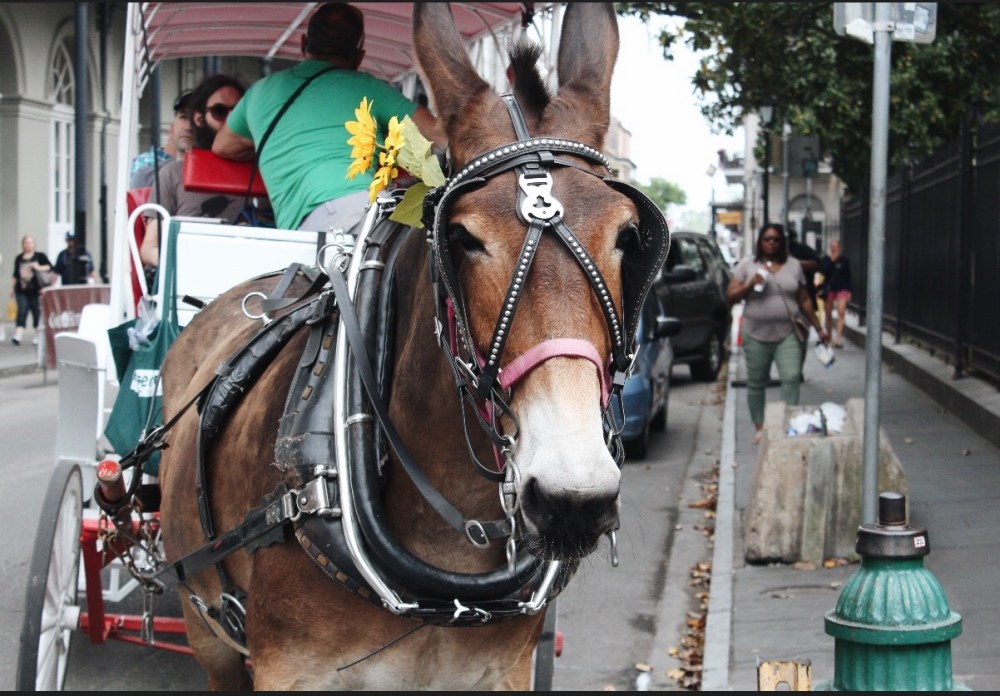 Processed with VSCO with a6 preset