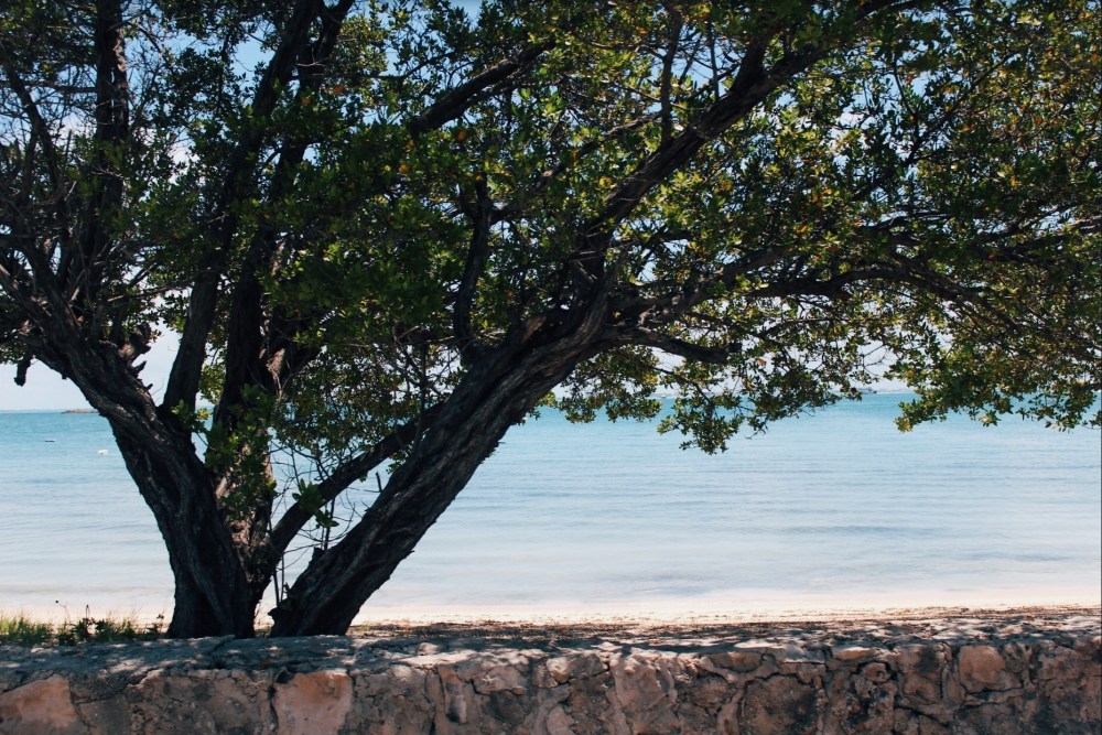 Processed with VSCO with e3 preset