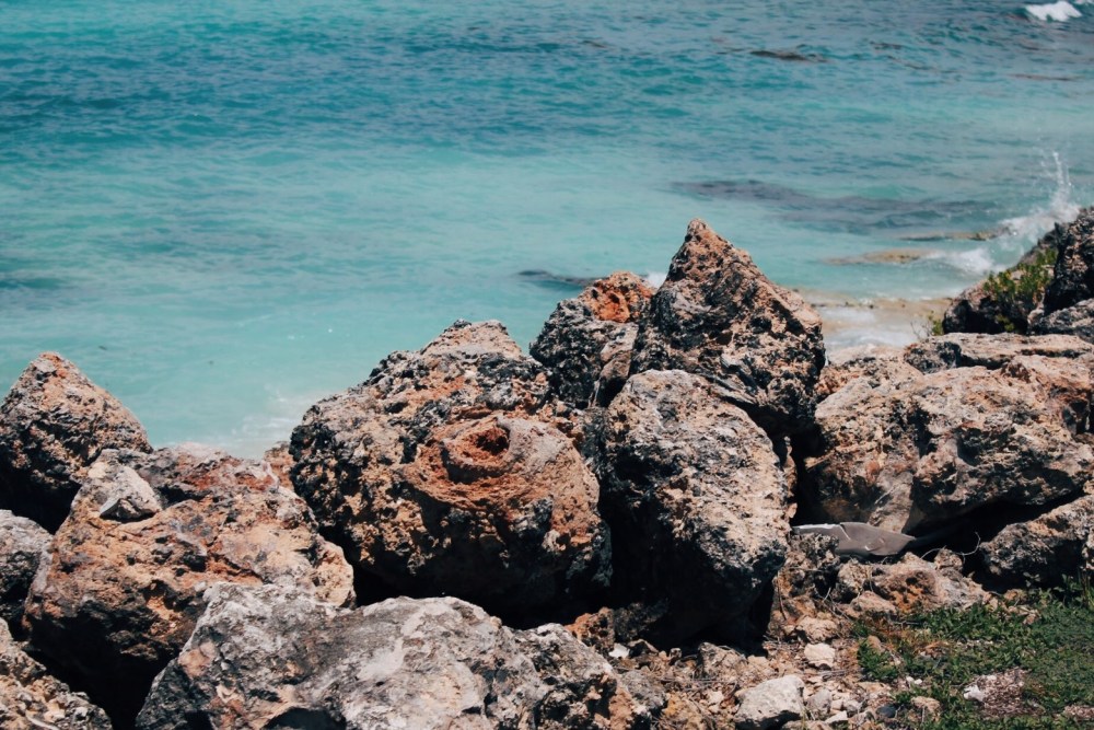 Processed with VSCO with e3 preset