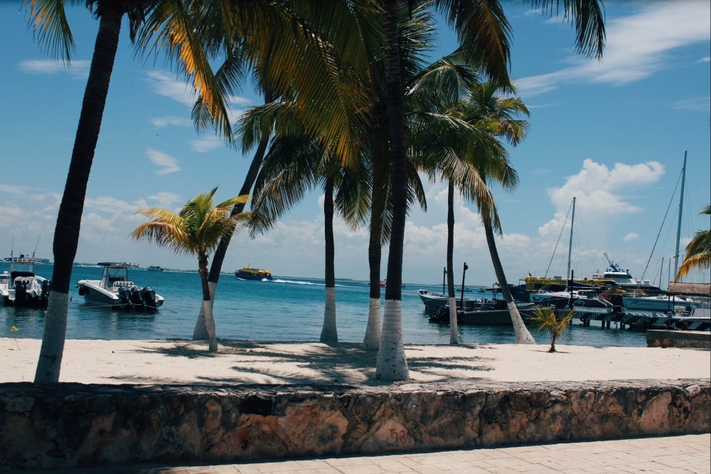 Processed with VSCO with e3 preset