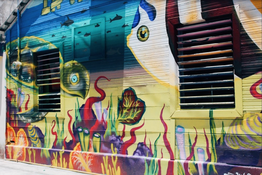 Processed with VSCO with e3 preset