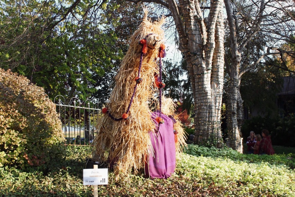 Processed with VSCO with al5 preset