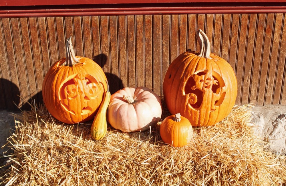 Processed with VSCO with al5 preset