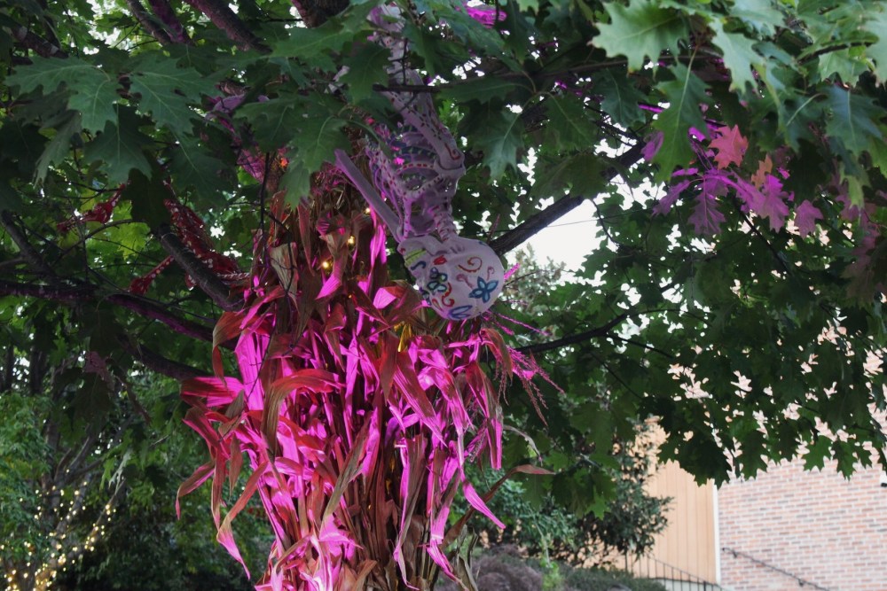 Processed with VSCO with al5 preset