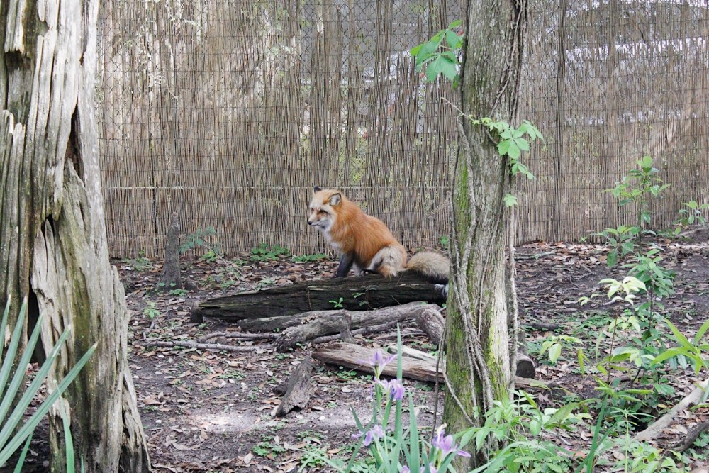 Processed with VSCO with al5 preset