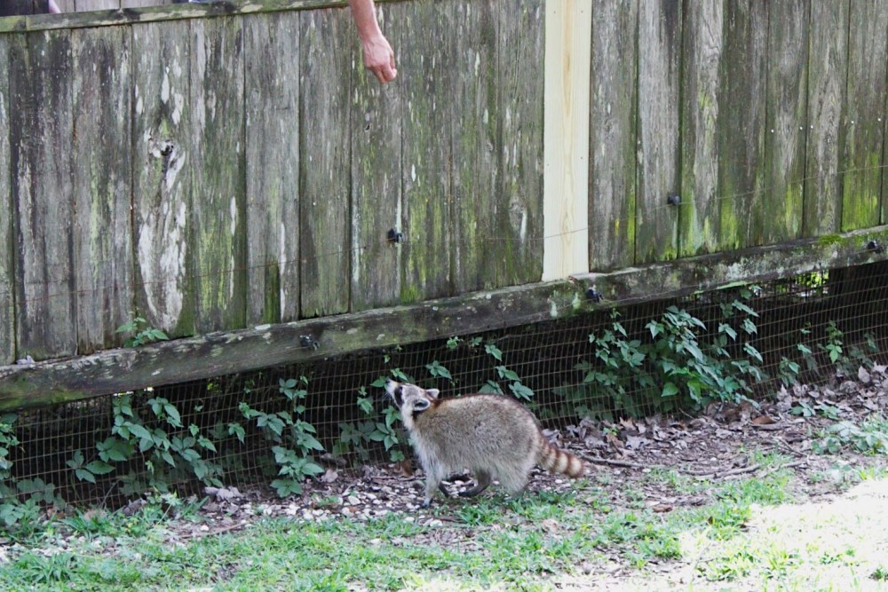 04709900-3a33-4966-b8c8-4cf252a28948