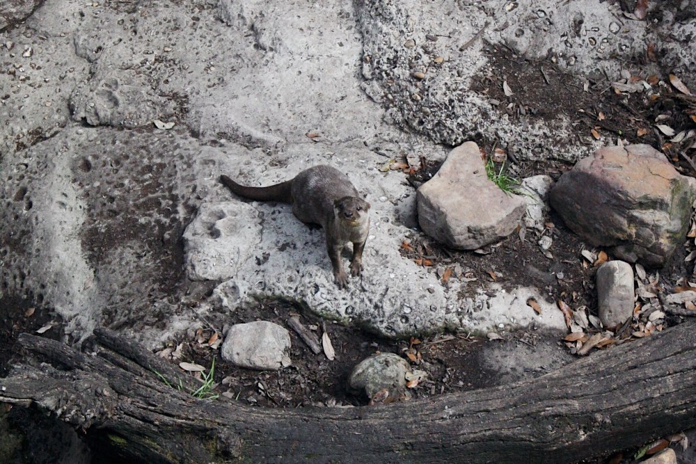 Processed with VSCO with al5 preset