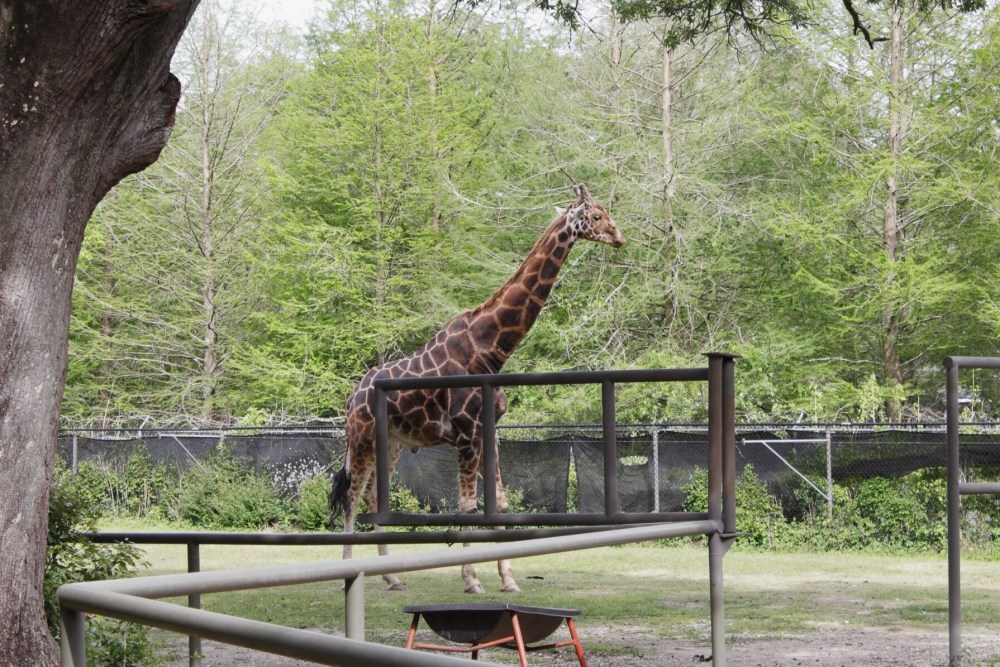 Processed with VSCO with al5 preset