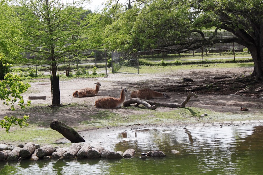 Processed with VSCO with al5 preset