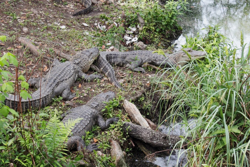 Processed with VSCO with al5 preset