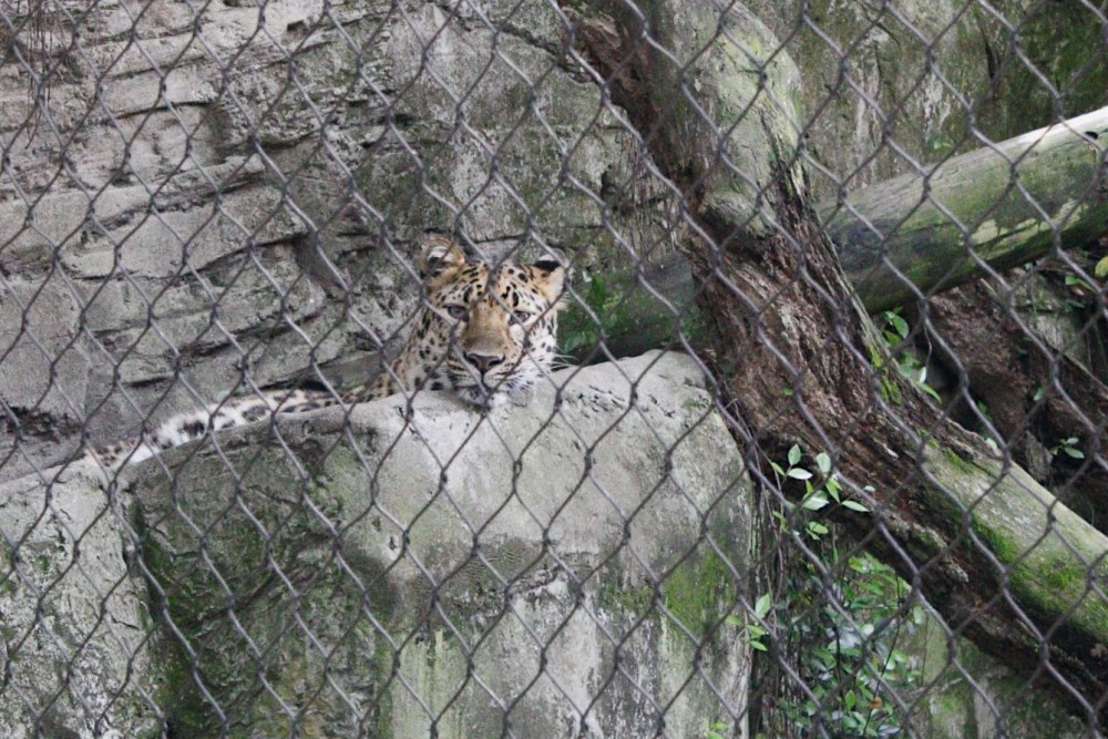 Processed with VSCO with al5 preset