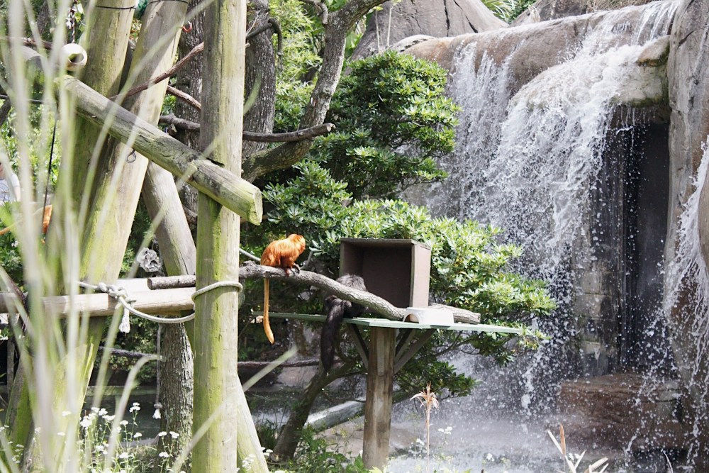 Processed with VSCO with al5 preset