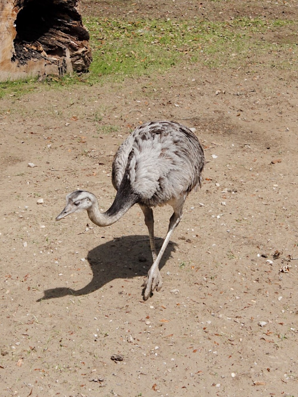 Processed with VSCO with al5 preset