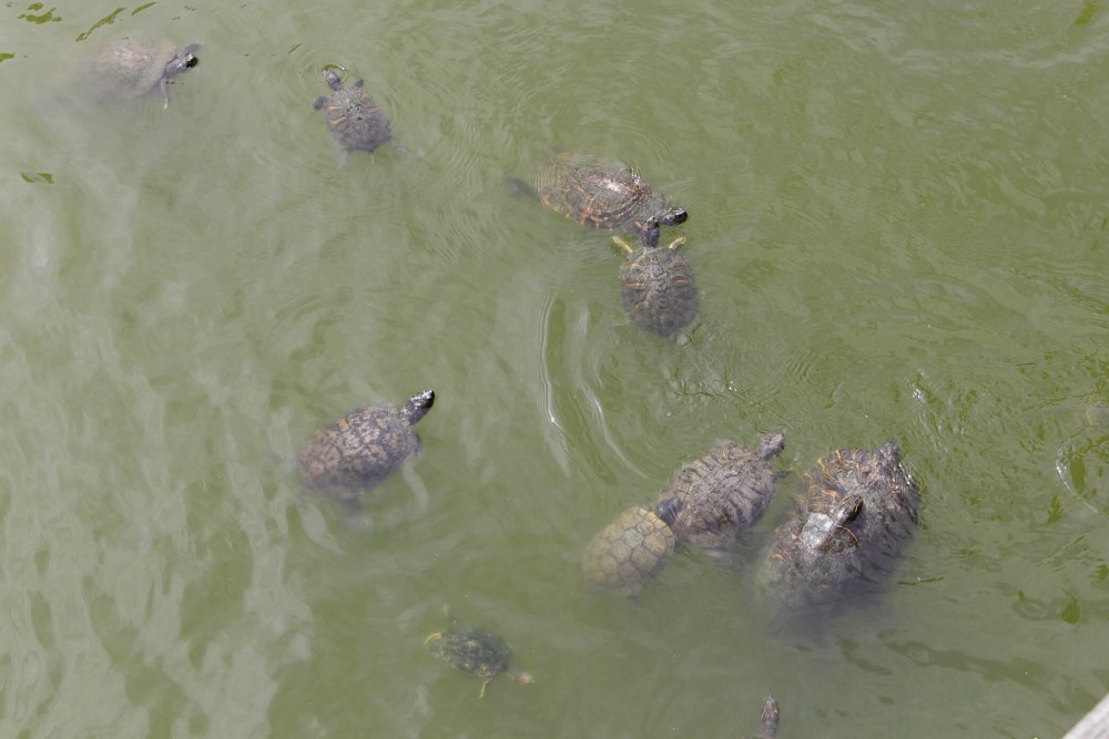 Processed with VSCO with al5 preset