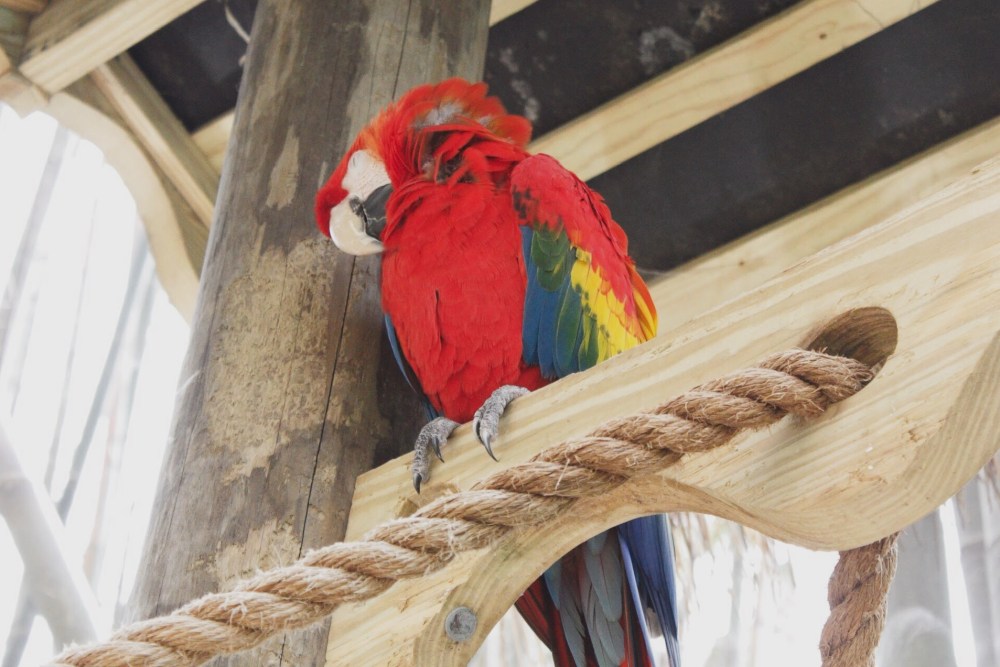 Processed with VSCO with al5 preset