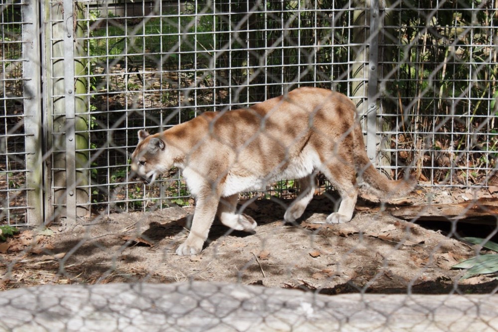 Processed with VSCO with al5 preset