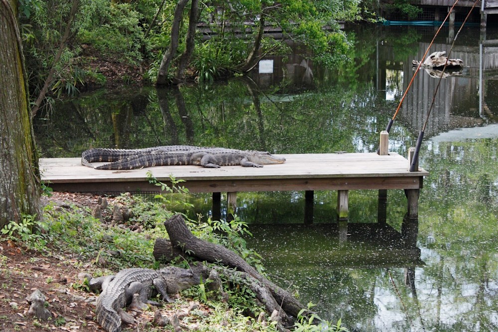 Processed with VSCO with al5 preset