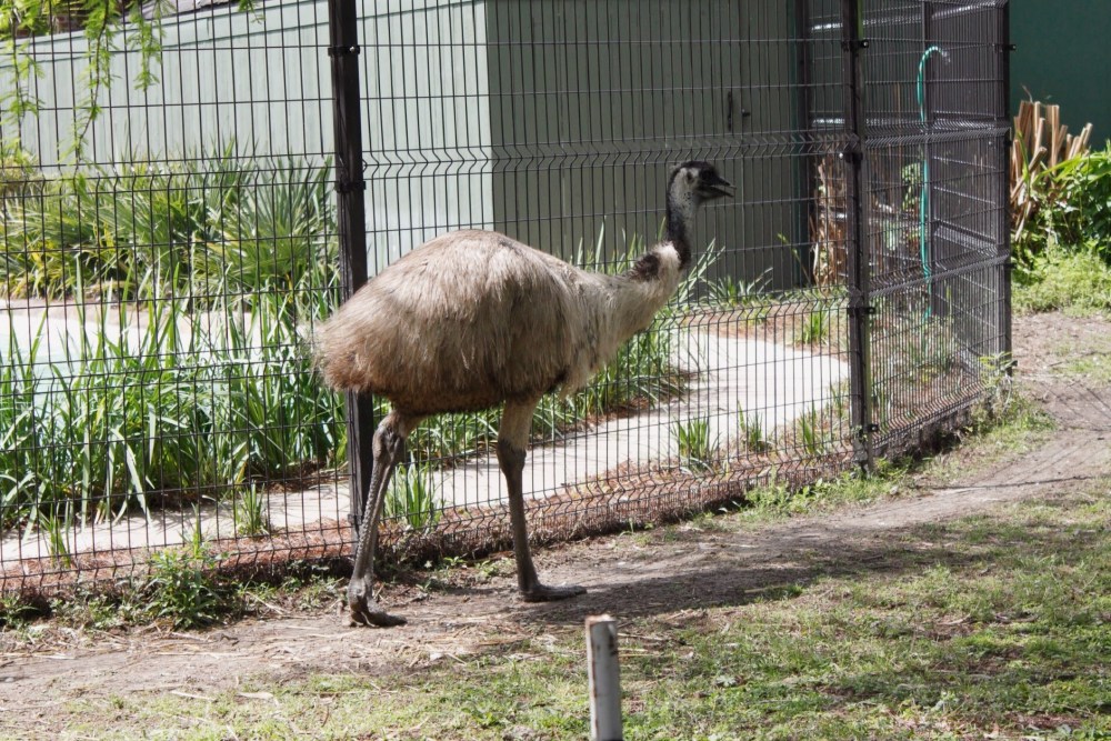 Processed with VSCO with al5 preset