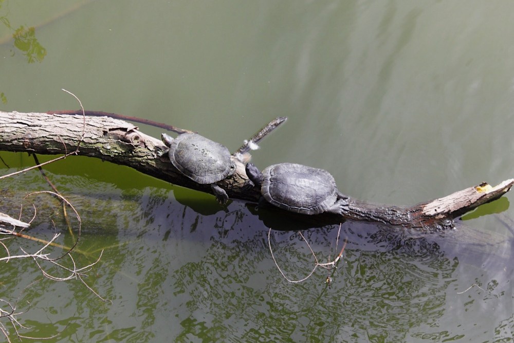 Processed with VSCO with al5 preset