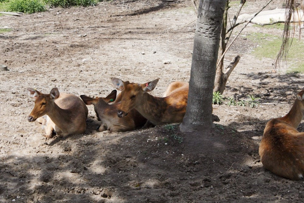 Processed with VSCO with al5 preset