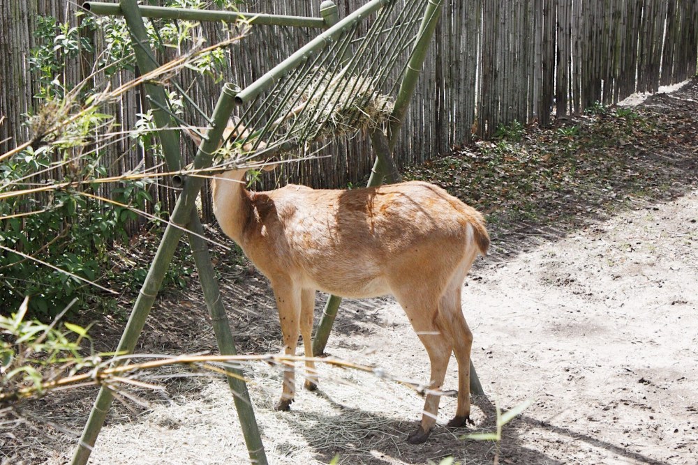 Processed with VSCO with al5 preset