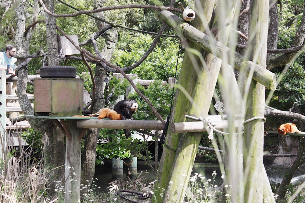 Processed with VSCO with al5 preset