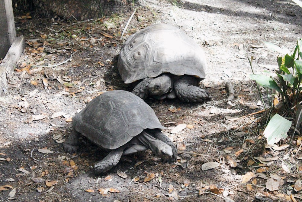 Processed with VSCO with al5 preset