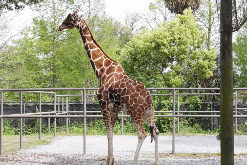 Processed with VSCO with al5 preset