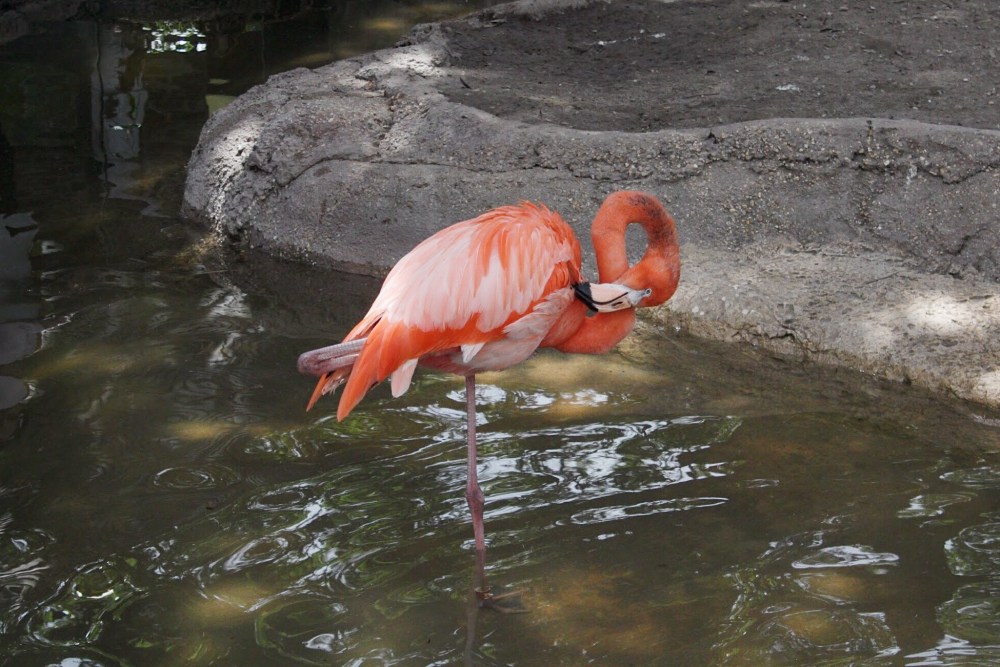 Processed with VSCO with al5 preset