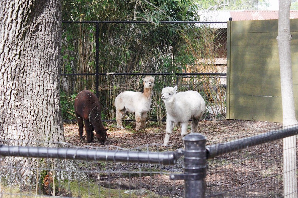 Processed with VSCO with al5 preset