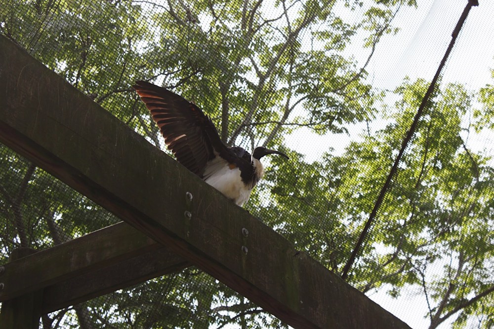 Processed with VSCO with al5 preset