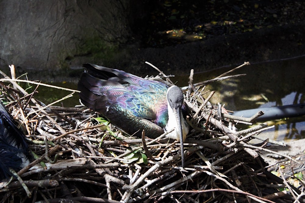 Processed with VSCO with al5 preset