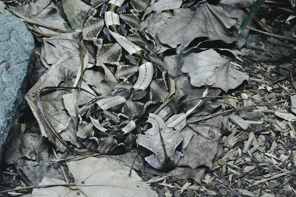 Processed with VSCO with 4 preset