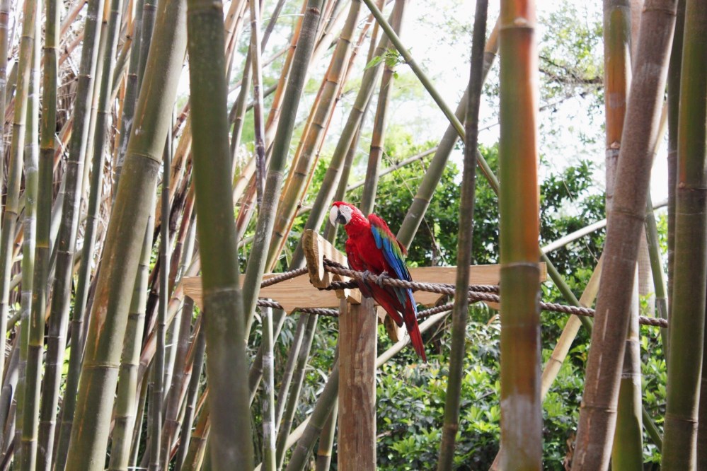 Processed with VSCO with al5 preset