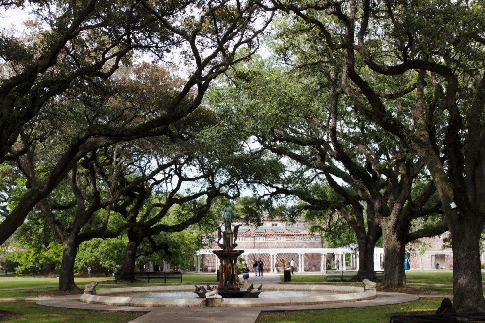 Processed with VSCO with fv5 preset