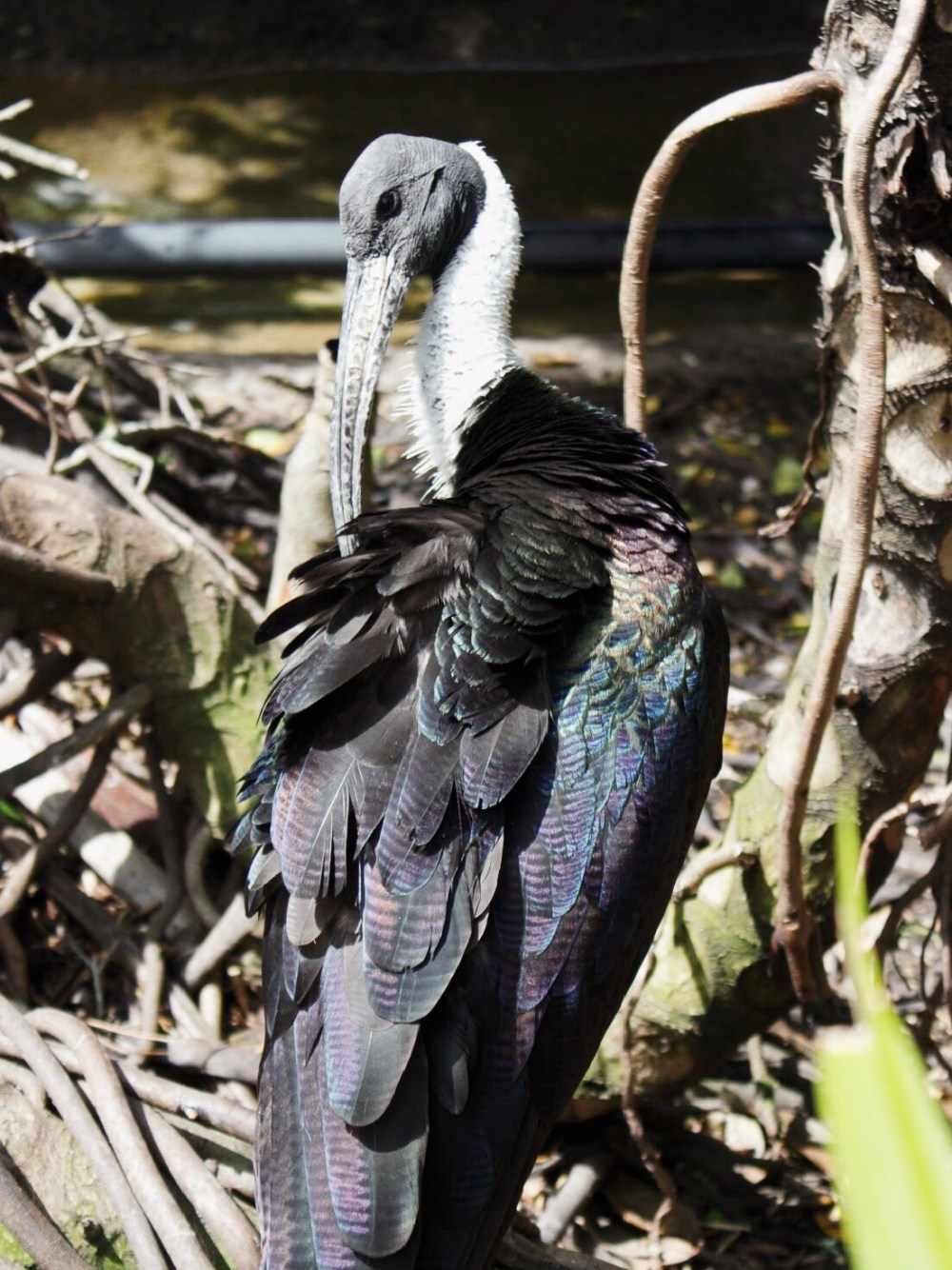 Processed with VSCO with al5 preset